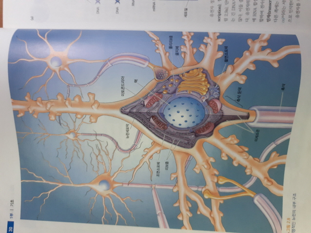 [ũ⺯ȯ]20200113_094738.jpg