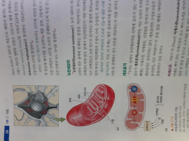 [ũ⺯ȯ]20200113_094847.jpg