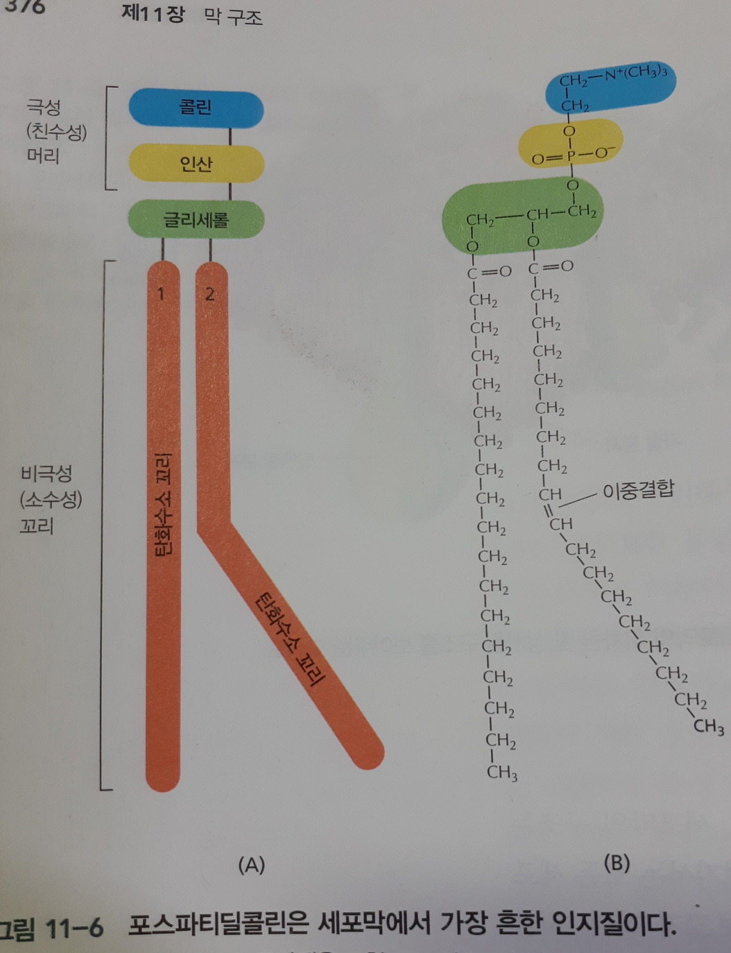 [ũ⺯ȯ]20200122_071646.jpg